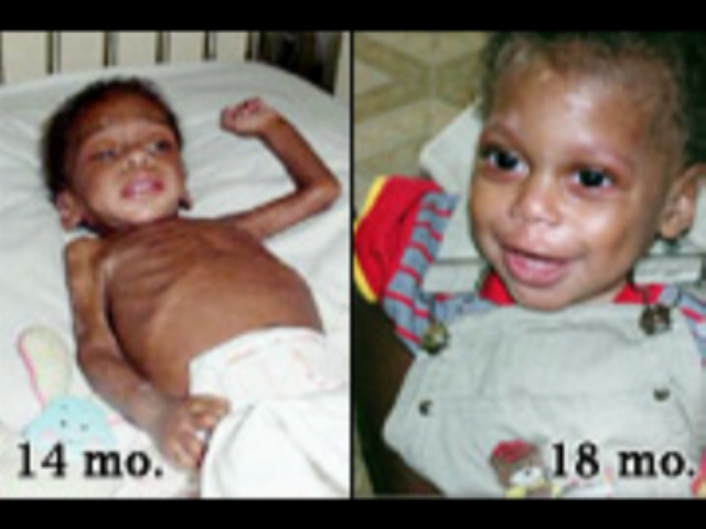 Dominic1.bmp